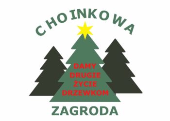 Tarnobrzeg. Rusza akcja „Choinkowa zagroda”