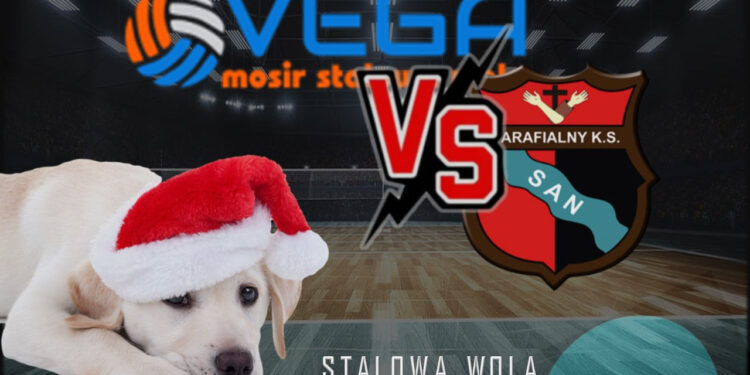 Stalowa Wola: Mikołajkowy Mecz Charytatywny dla Psiej Przystani