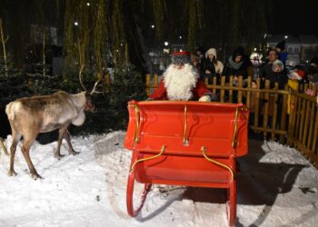 Stalowa Wola: Miejskie Mikołajki pełne świątecznej atmosfery, prezentów i blasku choinki