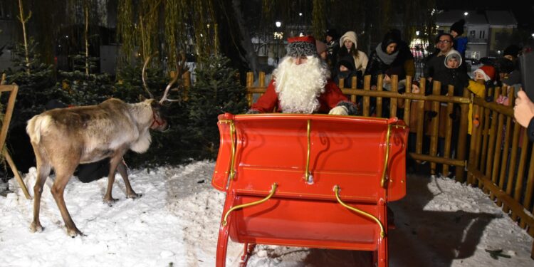 Stalowa Wola: Miejskie Mikołajki pełne świątecznej atmosfery, prezentów i blasku choinki