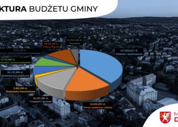 Dębica: Historyczny budżet Dębicy