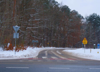 Stalowa Wola: Ulicę Leśną czeka przebudowa pod planowane osiedle mieszkaniowe