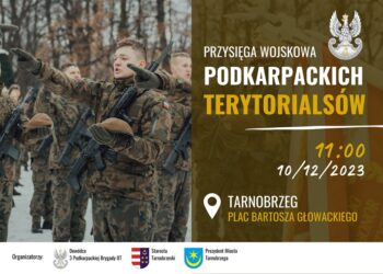 Tarnobrzeg. Terytorialsi i KTO Rosomak na Placu Bartosza Głowackiego