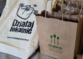 Sandomierz: Podsumowano kolejną edycję „Działaj lokalnie”.
