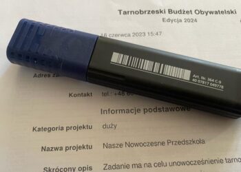 Tarnobrzeg. Ogólnodostępność zwycięskiego projektu poddana w wątpliwość