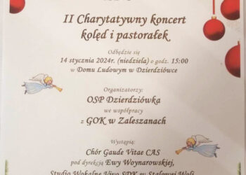 Stalowa Wola: Ruszył przetarg na zakup kolejnych autobusów elektrycznych