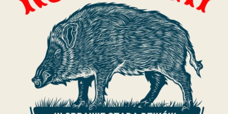 Mielec: Dziki nad Wisłoką