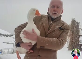 Tarnobrzeg. Prezydent na Tik Toku