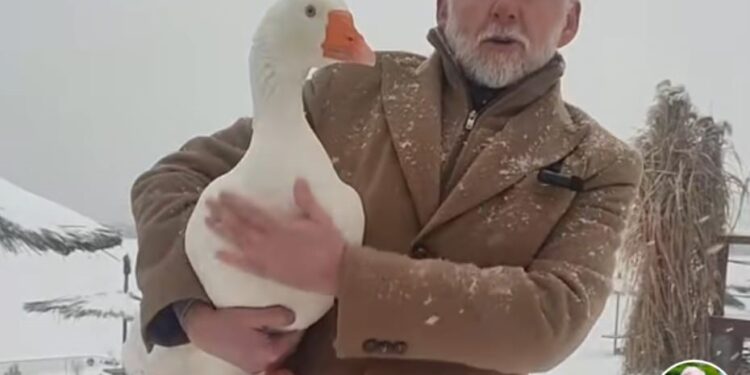 Tarnobrzeg. Prezydent na Tik Toku
