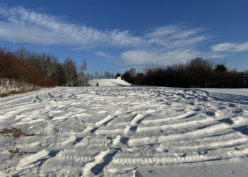 Sandomierz: Powstanie plac zabaw dla psów.