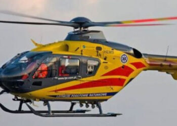 Radomyśl nad Sanem: Podczas wycinki w lesie mężczyznę przygniotło drzewo