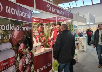 Sandomierz: Niskie ceny, przesycony rynek – sadownicy o aktualnej sytuacji.