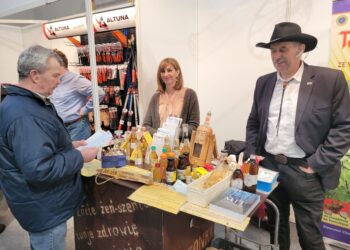 Sandomierz: Polski żeń-szeń budzi zainteresowanie.