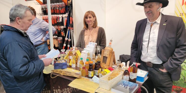 Sandomierz: Polski żeń-szeń budzi zainteresowanie.