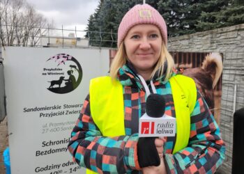 Sandomierz: Robimy wszystko, aby psy były tu szczęśliwe.
