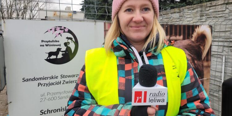 Sandomierz: Robimy wszystko, aby psy były tu szczęśliwe.