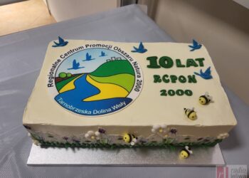 Tenis stołowy. KTS zagra w półfinale