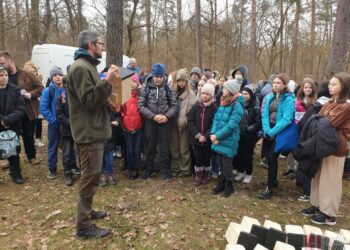 Tarnobrzeg. Blisko 100 budek lęgowych dla ptaków zawisło na drzewach w lesie Zwierzyniec