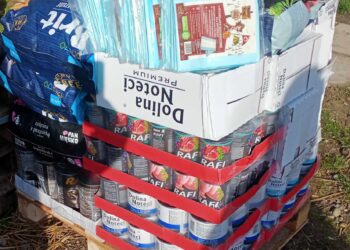 Sandomierz: „Ocalone łapki” pomagają pomagać bezdomnym zwierzętom.