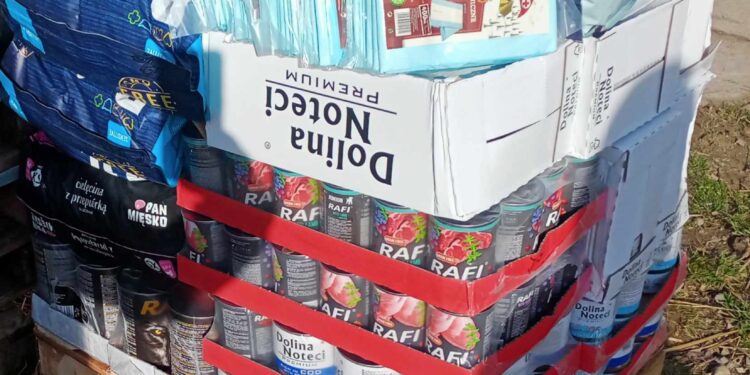 Sandomierz: „Ocalone łapki” pomagają pomagać bezdomnym zwierzętom.