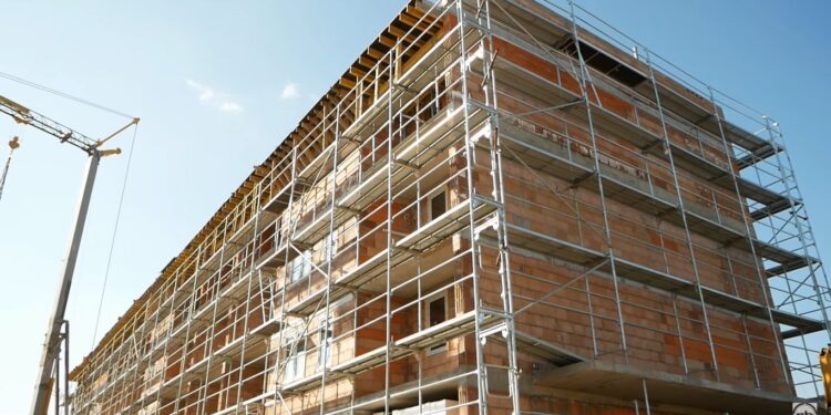 Stalowa Wola: Zielone miasto i sadzenie drzew oraz zielony budżet