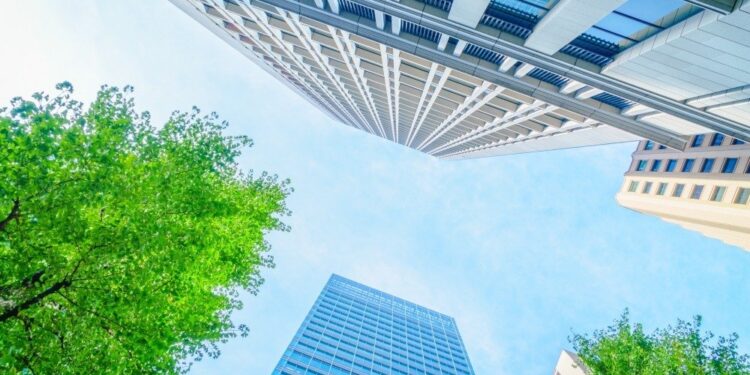 Sandomierz, Tarnobrzeg: Pilkington Mirai zweryfikowane jako szkło architektoniczne o najniższym śladzie węglowym.