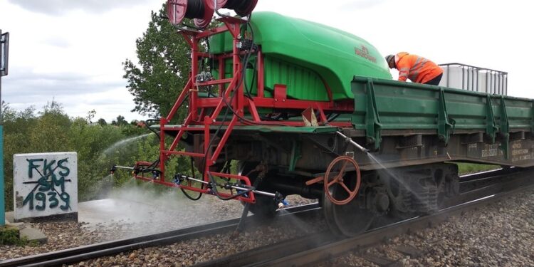 Mielec: Opryski przeciw ASF