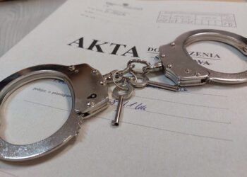 Nisko: Dwaj mieszkańcy powiatu stalowowolskiego odpowiedzą za pobicie