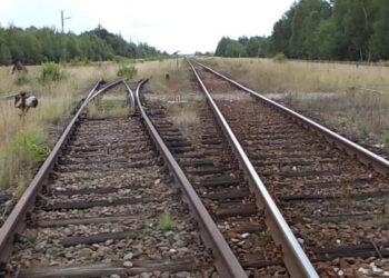 Stalowa Wola, Nisko: Bocznica i terminal przeładunkowy w strefach