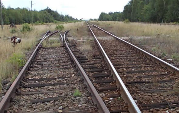 Stalowa Wola, Nisko: Bocznica i terminal przeładunkowy w strefach