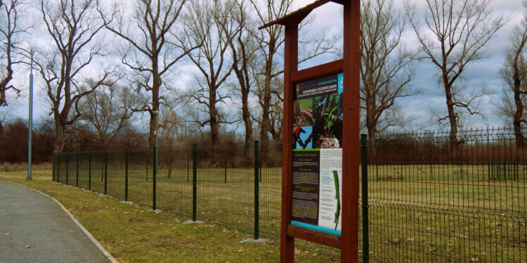 Stalowa Wola: Park dla psów jeszcze nie gotowy a już odwiedzany