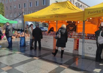 Mielec: Za nami  II Mielecki Jarmark Wielkanocny