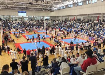 Mielec: Za nami Ogólnopolski Turniej Karate Wings Cup 2024