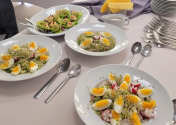 Sandomierz: Co jeść w święta aby było smacznie, zdrowo i niezbyt kalorycznie?