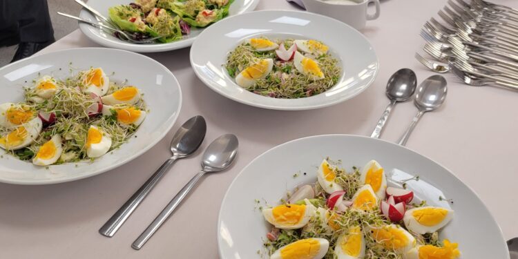 Sandomierz: Co jeść w święta aby było smacznie, zdrowo i niezbyt kalorycznie?