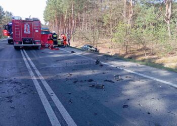 Tarnobrzeg/Grębów: Poważny wypadek na drodze wojewódzkiej nr 871