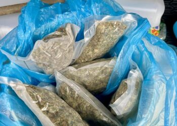 Sandomierz: Akcja antynarkotykowa.