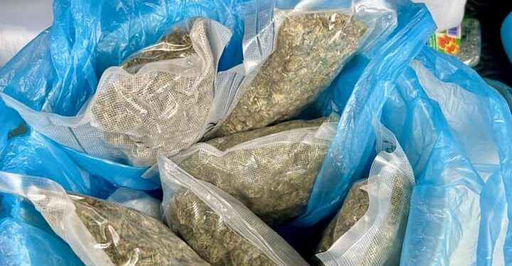 Sandomierz: Akcja antynarkotykowa.