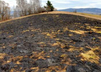 Region: Wypalanie traw powoduje szkody