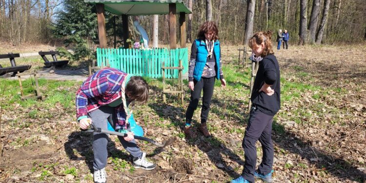 Tarnobrzeg. Sadzili drzewa miododajne