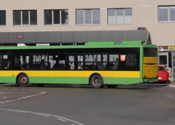 Dębica: A miało być za darmo komunikacja miejską…