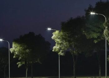 Mielec: Z zimowego snu obudziły się … kleszcze