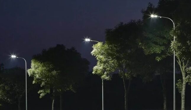 Mielec: Z zimowego snu obudziły się … kleszcze