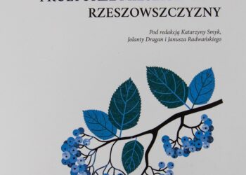 Kolbuszowa: Podsumują  projekt „Las w życiu i kulturze mieszkańców Rzeszowszczyzny”.