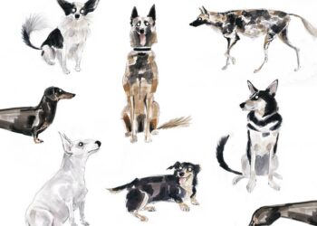 Tarnobrzeg. Wystawa Zofii Różyckiej w TDK