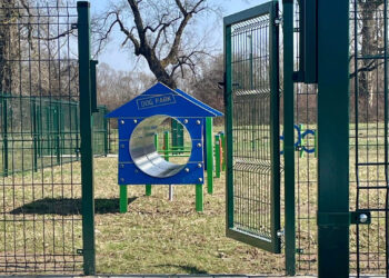 Stalowa Wola: Ruszył przetarg na przebudowę Jaśminowej