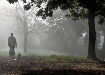 Tarnobrzeg: Idziesz na spacer z psem? W trosce o faunę trzymaj go na smyczy