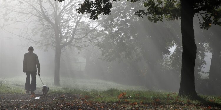 Tarnobrzeg: Idziesz na spacer z psem? W trosce o faunę trzymaj go na smyczy