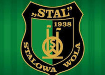 Stalowa Wola: Wygrana Stali i z Sandecją  i 4 miejsce w tabeli