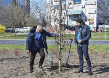 Stalowa Wola: Dziś ruszają 15. Zdarzenia Teatralne